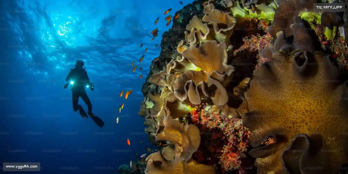 <strong>BB贝博艾弗森官网</strong>🎾用汗水书写热爱，用坚持定义精彩 —— 你的体育故事，从这里开篇！